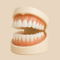 Dentier Premium – ClairSourire™